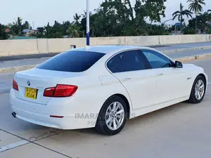 BMW 5 Series 2011 White