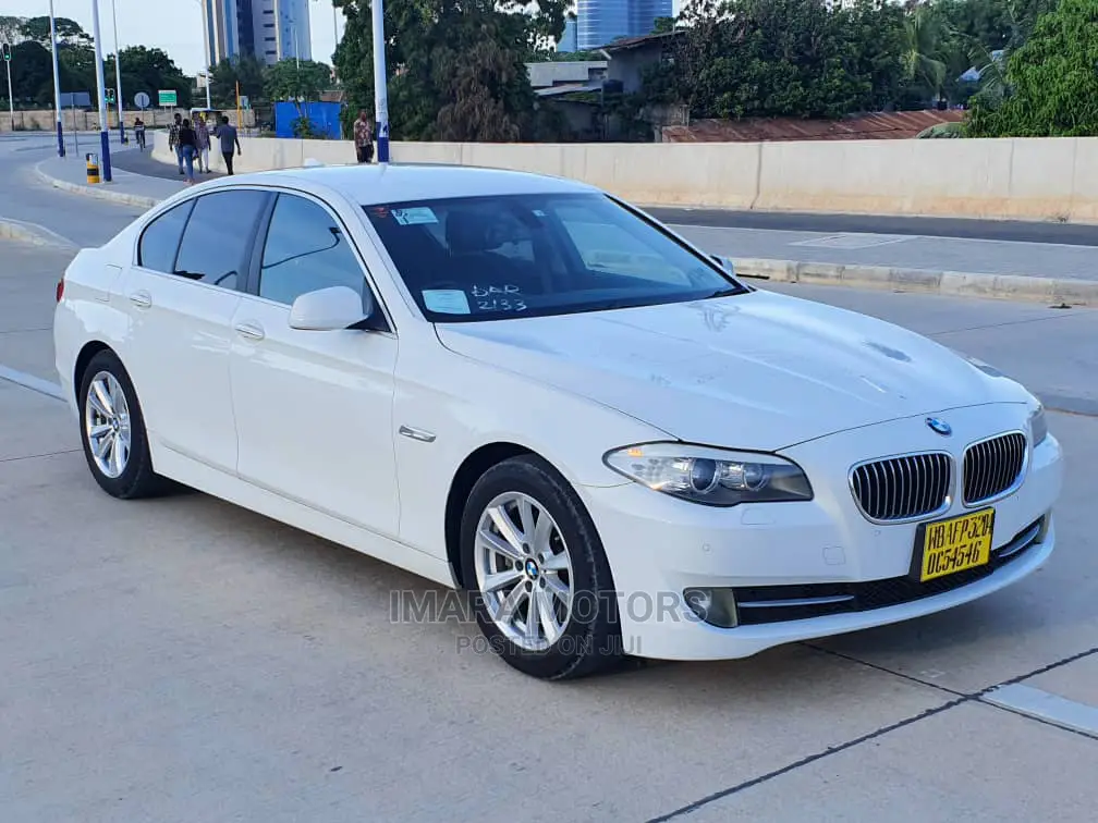 BMW 5 Series 2011 White