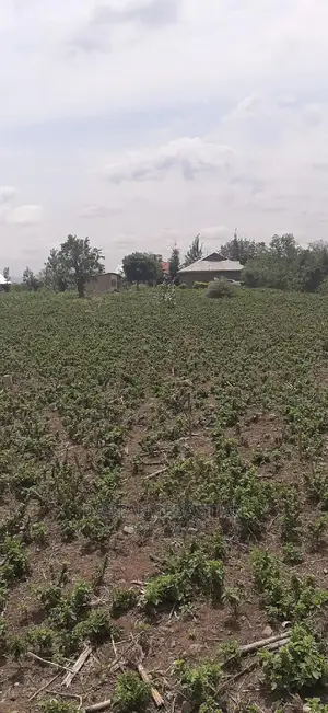 Viwanja Bora Kutoka Real Kambele Company