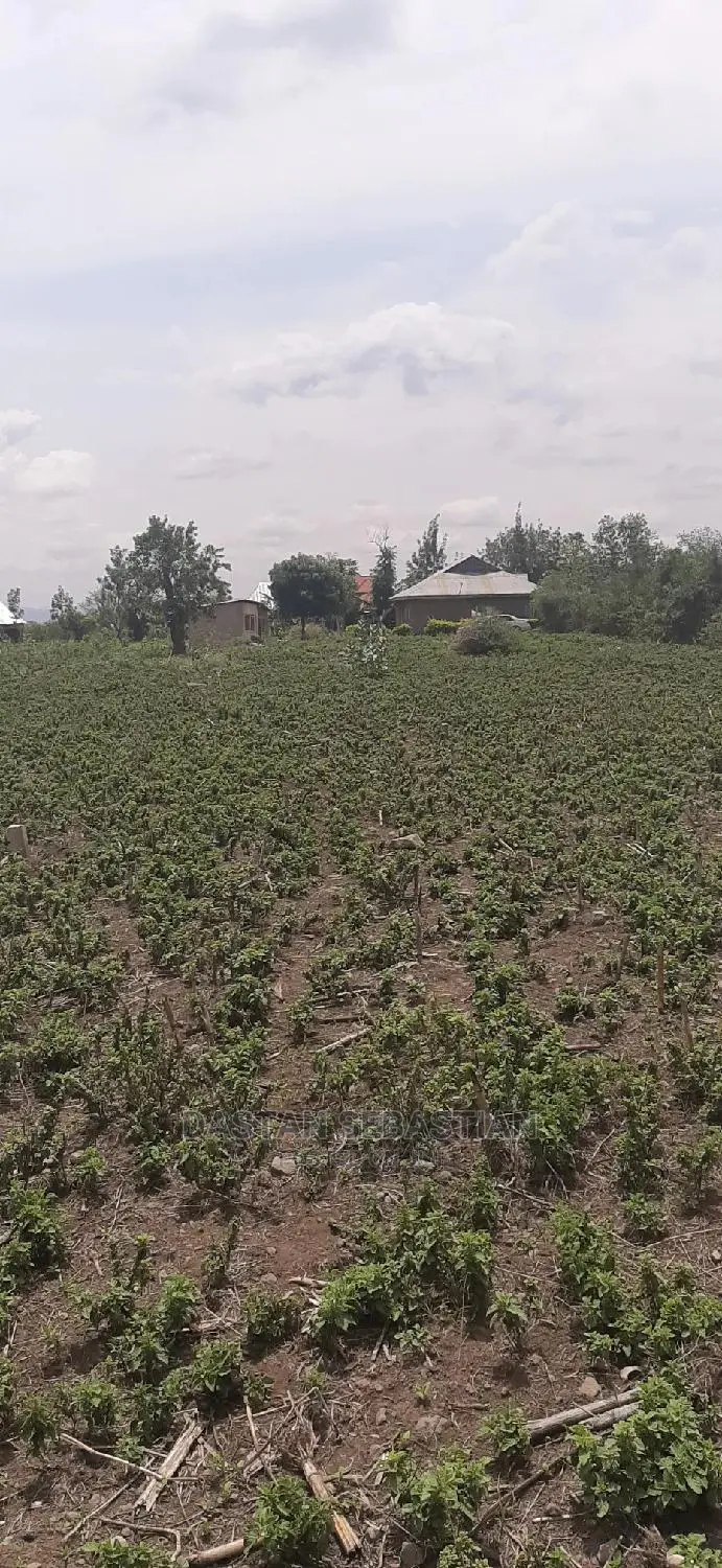 Viwanja Bora Kutoka Real Kambele Company