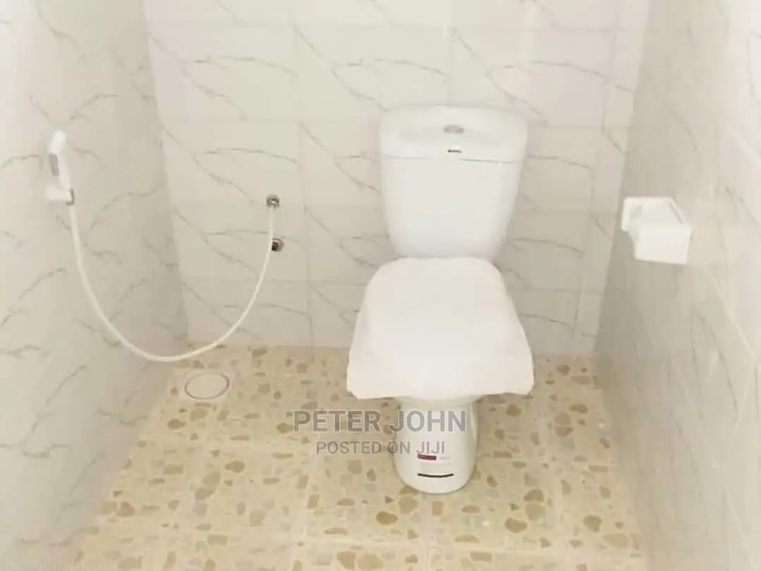 1bdrm Apartment in Mikocheni for rent