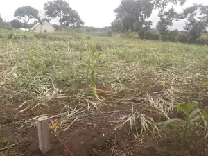 Viwanja Vilivyopimwa Kisheria