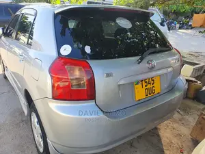 Toyota Corolla RunX 2003 Silver