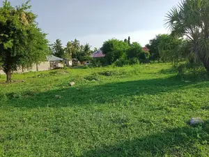 Kiwanja Tambarare Mbweni