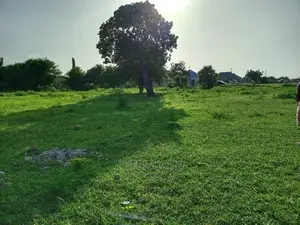 Kiwanja Tambarare Mbweni
