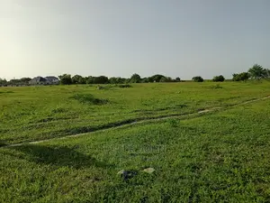 Kiwanja Tambarare Mbweni