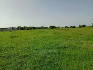 Kiwanja Tambarare Mbweni