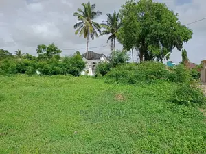 Kiwanja Karibu Na Barabara Ya Lami