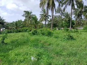 Kiwanja Karibu Na Barabara Ya Lami