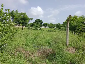 Kiwanja Kimepimwa