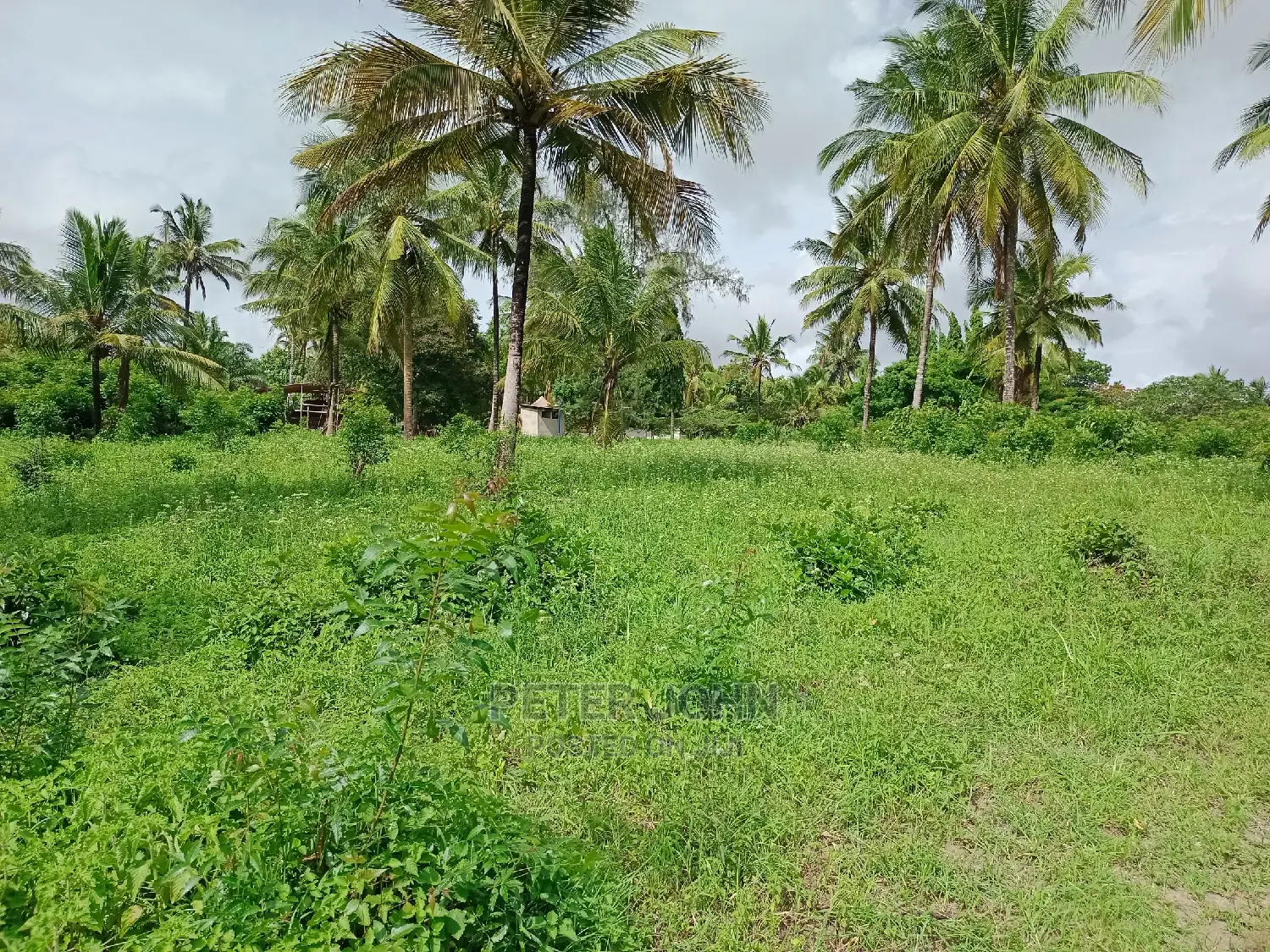 Kiwanja Kimepimwa