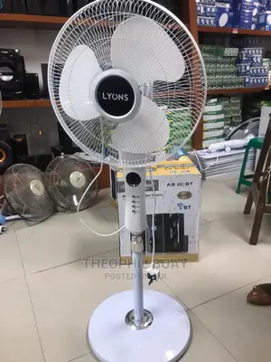 Lyons Remote Fan