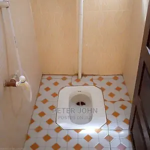 1bdrm Shared Apartment in Kariakoo for Rent