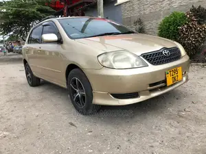 Toyota Corolla RunX 2003 Gold