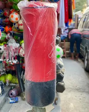 Standing Boxing Punching Bag