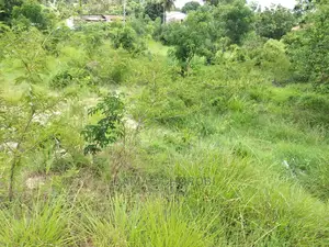 Maeneo Makubwa Yanauzwa Acre 27,Kibaha Acre 20 Kibamba