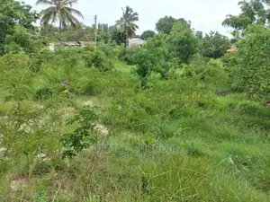 Maeneo Makubwa Yanauzwa Acre 27,Kibaha Acre 20 Kibamba