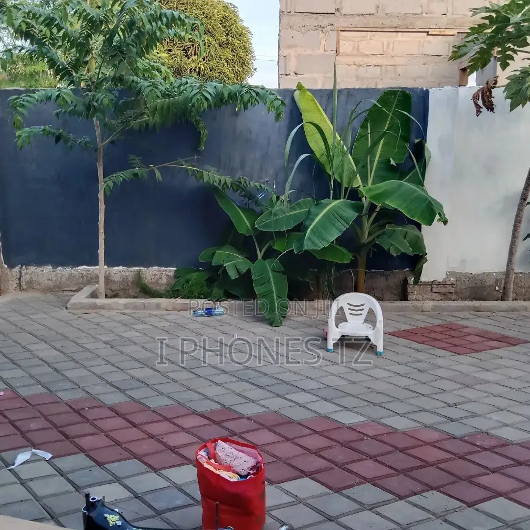 2bdrm Apartment in Ipo Kigamboni for rent