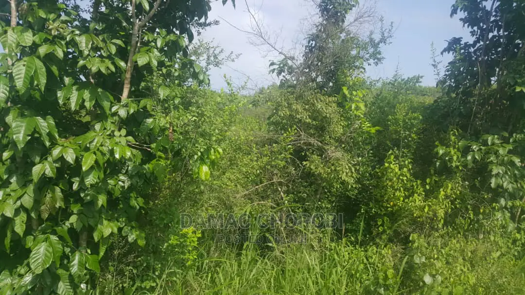 Shamba Linauzwa Kiwangwa Ukubwa Acre 20 Za Pamoja