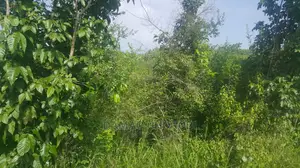 Shamba Linauzwa Kiwangwa Ukubwa Acre 20 Za Pamoja