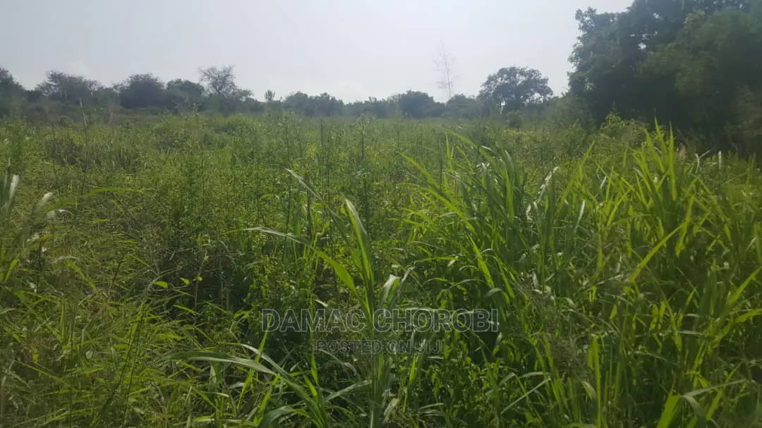 Shamba Linauzwa Kiwangwa Ukubwa Acre 20 Za Pamoja