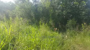 Shamba Linauzwa Kiwangwa Ukubwa Acre 20 Za Pamoja
