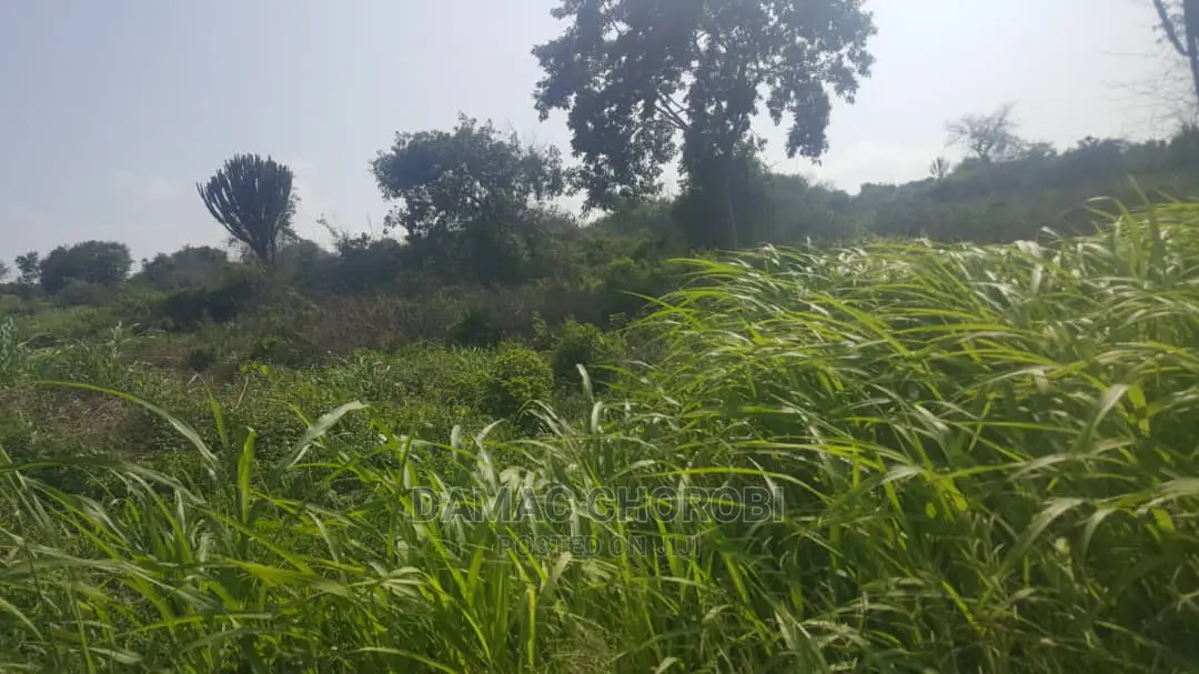 Shamba Limepimwa Ukubwa Acre 36 Shamba Lina Hati L