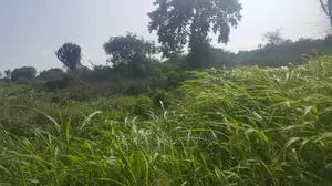 Shamba Limepimwa Ukubwa Acre 36 Shamba Lina Hati L