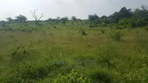 Shamba Limepimwa Ukubwa Acre 36 Shamba Lina Hati L
