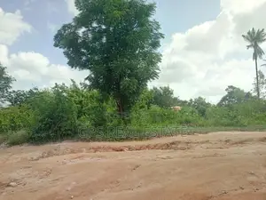 Kiwanja Kinaunzwaaaa