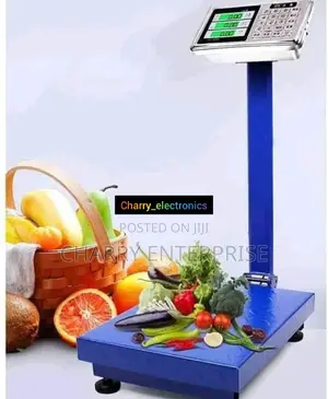 Digital Electronic Weight Scale, 500kg