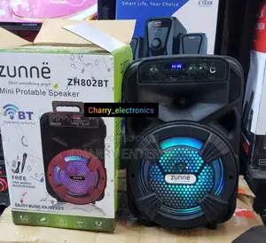 ZUNNE Rechargable Speaker Ina Mike