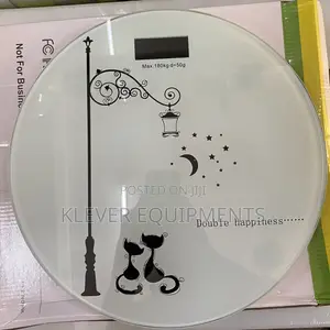 Electronic Health Scale