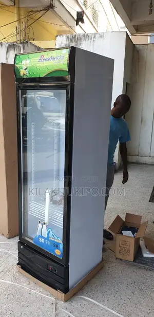 Solar Beverage Show Case Fridge 358L