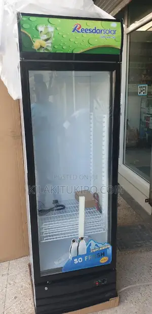 Solar Beverage Show Case Fridge 358L