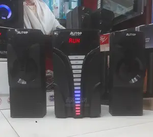 Alitop Subwoofer 2504