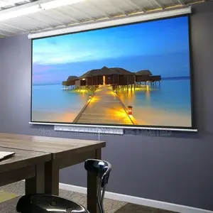 Manual Projector Screen - 150 Inches