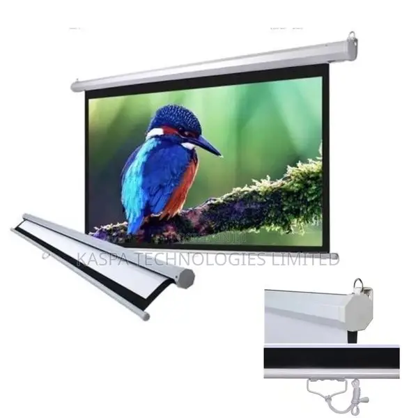 Manual Projector Screen - 150 Inches