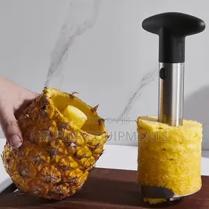Stainless Steel Pineapple Cutter