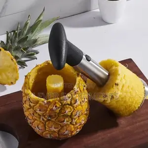 Stainless Steel Pineapple Cutter