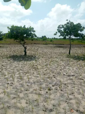 Acre 1700 Zinauzwa Ngerengere Morogoro