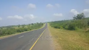 Acre 1200 Tanga Zinauzwa