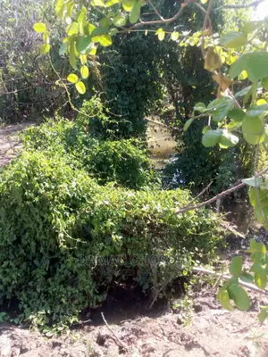 Mashamba 2 Ukubwa Acre 1000 Na Acre 2000 Yanauzwa