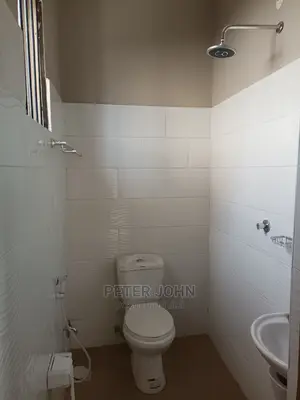 2bdrm Apartment in Sinza for rent