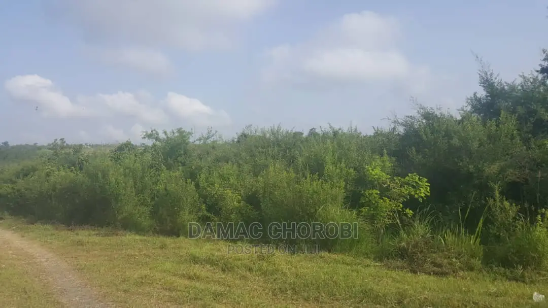Shamba Acre 2500 Mikese Morogoro Linauzwa