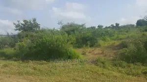 Shamba Acre 2500 Mikese Morogoro Linauzwa