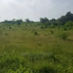 Acre 400 Mto Wami Shamba Lina Title Deed