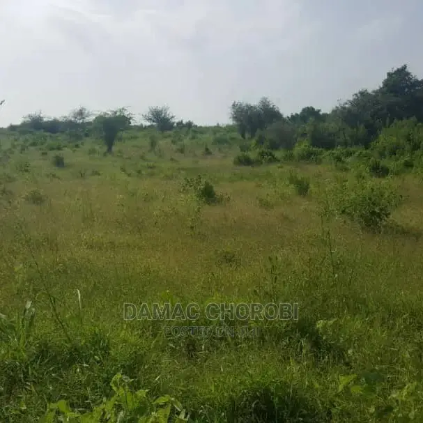 Acre 400 Mto Wami Shamba Lina Title Deed