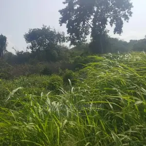 Acre 400 Mto Wami Shamba Lina Title Deed