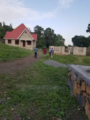 Viwanja Maji Ya Chai Na Kikatiti